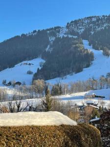 Appartements Charmant studio + jardin vue pistes et local velo : photos des chambres