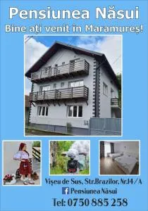 PENSIUNEA NASUI - Arşiţa