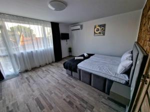 Apartment Simon Green