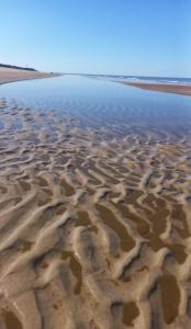 Vanagupė West Soft Pearl Apartments & Free Parking