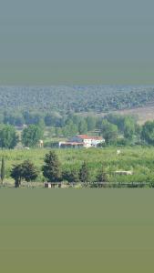 Residence Dayet Aoua