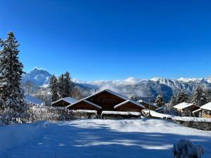 obrázek - Appartement - Villars Sur Ollon