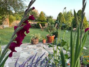 Bujtina Bezhani Gjinar