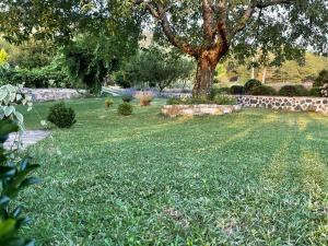 Bujtina Bezhani Gjinar