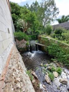 Maisons de vacances Superbe gite 10 personnes a Gizeux avec piscine : photos des chambres