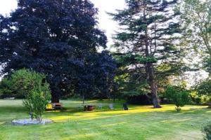 Maisons de vacances Petit cottage : photos des chambres
