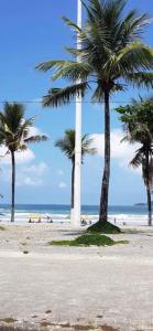 Ap Família Busca-pé Enseada Guarujá