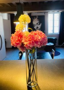 Appartements Dijon La Belle Adresse : photos des chambres