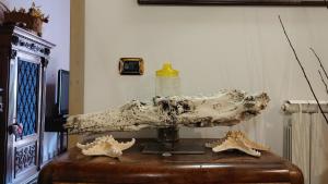 APPARTAMENTO a CENTRO STORICO DI CATANIA