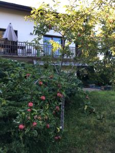 B&B / Chambres d'hotes Chambre B&B dans la maison en lisiere de foret : Chambre Double - Vue sur Jardin