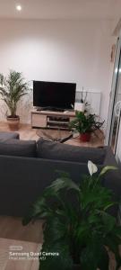 Appartements appartement a carpentras : photos des chambres