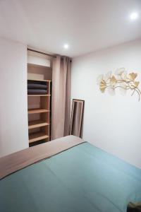 Appartements Appartement chaleureux cosy et climatise : photos des chambres