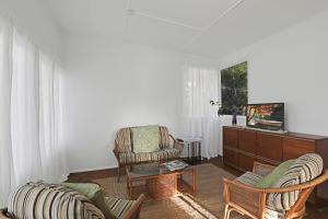 Frogmouth - 87 Mooloomba Road