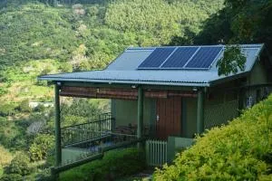 The Green Shack - Mare Jocquot