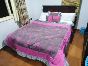 Hayat pyramids house 51N - 十月六日城