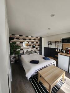 Appartements Le Jean Jaures 2 - Joli studio : photos des chambres