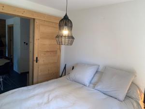 Superbe appartement à Châtel avec parking privatif, 3 chambres pour 6 personnes - FR-1-198-238