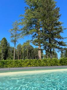 Maisons de vacances DOMAINE DE MALVAUX - Gite classe 5 etoiles - 15 personnes - Sologne - Nouan le Fuzelier - Ambassadeur Sologne : photos des chambres
