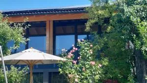 Holzer 2.0 - 弗林茨巴赫