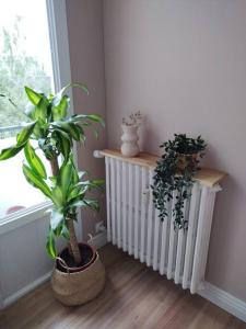 Appartements Studio cosy aux portes de Caen : photos des chambres