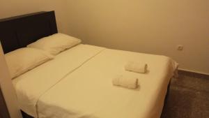 Studio Apartmani Mini