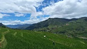 Sapa terraces - Bản Lec