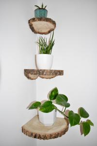 Stylish centrally-located studio with parking