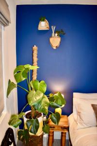 Stylish centrally-located studio with parking