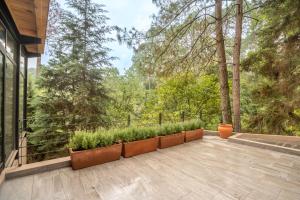 CASA NUEVA en Avandaro rodeada de Naturaleza