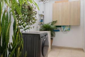 Maison Tribou 101