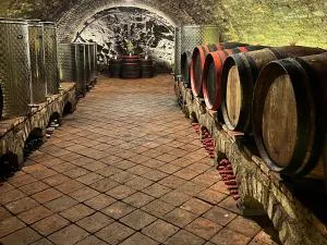 Ubytování nad vinným sklípkem - Pension Pausram - Popice