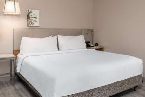 One-Bedroom Mini Suite with Sofa Bed room in Hilton Garden Inn Ft. Lauderdale SW/Miramar