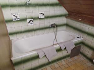 Apartmán u lesa u Adršpachu