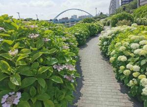 Sky hotel 睛空塔热门旅游景区 最近车站步行3分钟 机场直达 周边有便利店 商场 温泉 购物餐饮方便