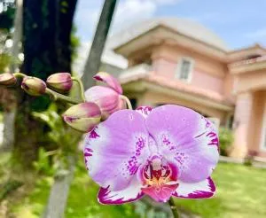 Flower House Villa - Sukaraja