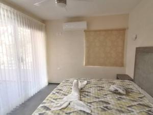 Marysol beachfront next to nomads d4