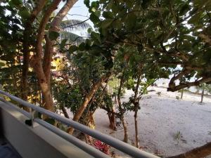 Marysol beachfront next to nomads d4