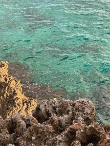 Irie Vibes by the beach