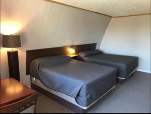 The little chalet motel