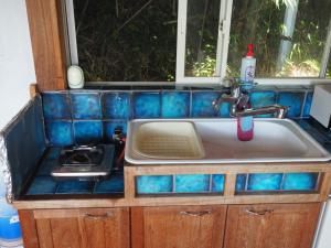 HealingDragon Ryugu cottage