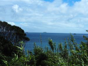 HealingDragon Ryugu cottage