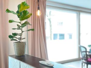 presence: grosszüges Loft_ bis 6 Pers_zentral