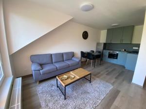 Černá Růže- Apartmán 5