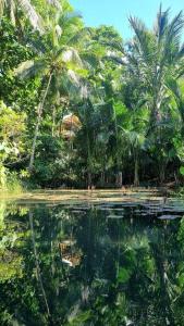Remote Home near Secret Lagoon with Motorcycle