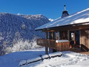 Chalet Domisiladoré - chalet haut de gamme de 8 à 12 personnes à Châtel