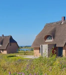 Reetdorf Geltinger Birk Atelierhaus Haselrute - Nieby
