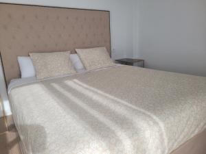 Apartment punta Hidalgo