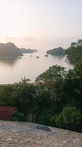 Cat Ba Victory Hostel