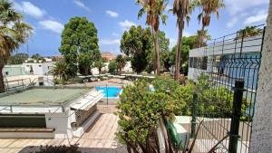 Bouganville en Eureka