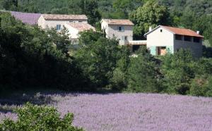 Villas Hameau des Oraisonis : photos des chambres